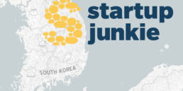 Startup Junkie Consulting