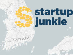 Startup Junkie Consulting