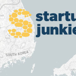 Startup Junkie Consulting