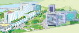 Healthcare System in South Korea