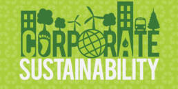 Corporate Sustainability in Korea