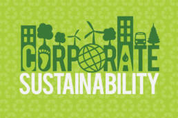 Corporate Sustainability in Korea