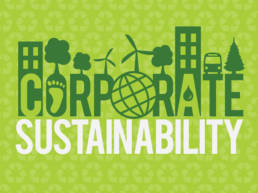 Corporate Sustainability in Korea