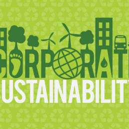 Corporate Sustainability in Korea